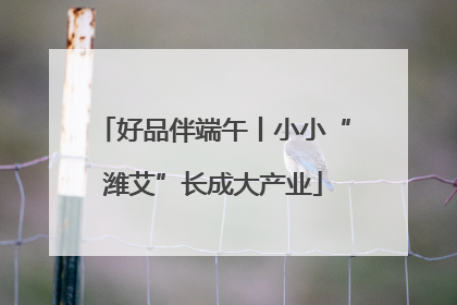 好品伴端午丨小小“潍艾”长成大产业